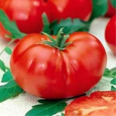 Pomidorowa Duma Syberii
