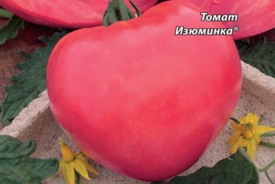 Skórka Pomidorowa