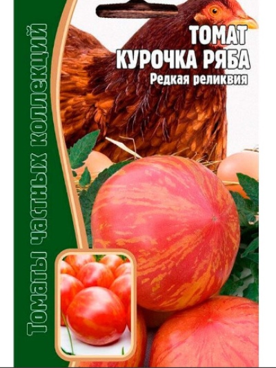 Pomidor Kurczak Ryaba
