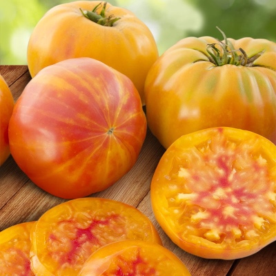 Pomidorowa zagadka natury