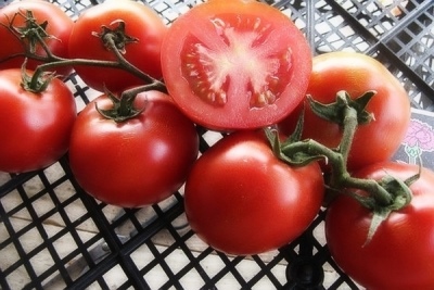 Zagadka o pomidorach