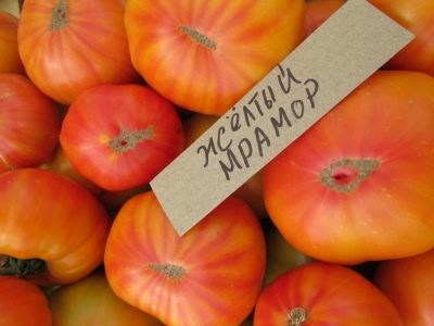 Pomidorowy żółty marmur