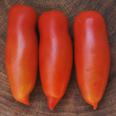 Pomidor Khokhloma