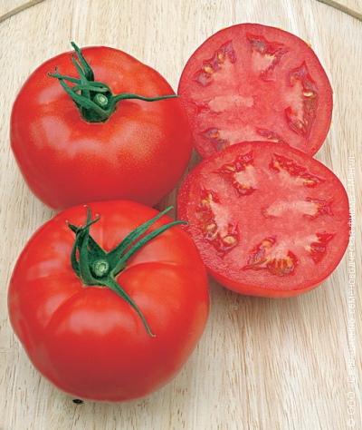 Pomidorowa Katiusza