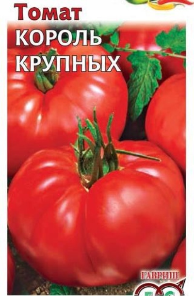 Król pomidorów duży
