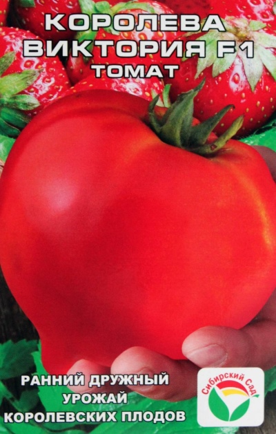 Pomidorowa Królowa Wiktoria