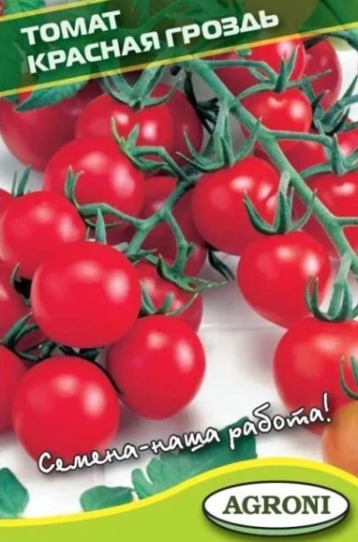 Czerwona wiązka pomidorów
