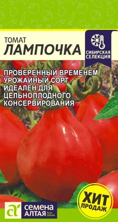 Żarówka pomidorowa