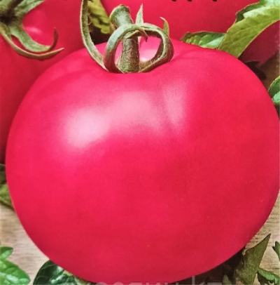 Malinka Pomidorowa
