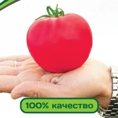 mus pomidorowo-malinowy