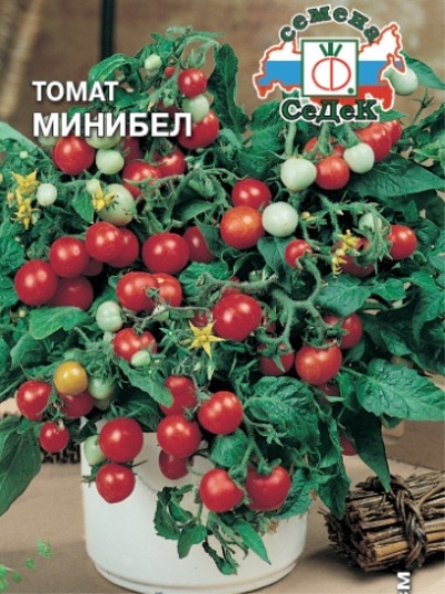 Pomidorowy minibel
