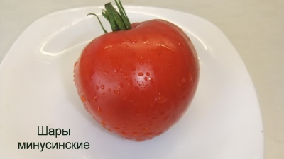 Pomidorowe kulki Minusiński