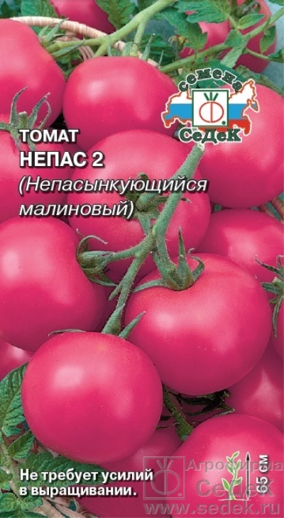 Nepas pomidorowy 2