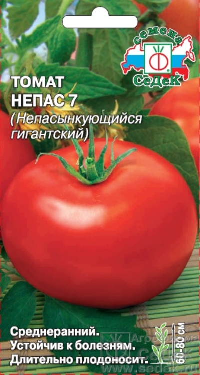 Nepas pomidorowy 7