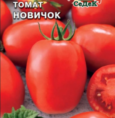 Pomidor nowicjusz