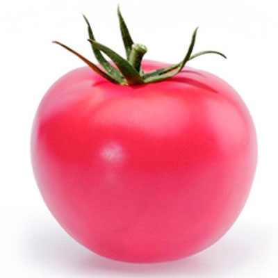 Pomidorowa Pandarosa