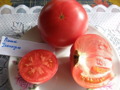Pomidorowy Różowy Unicum