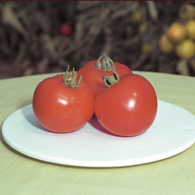 Pomidorowy półfast