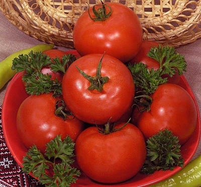 Pomidorowy Prezydent