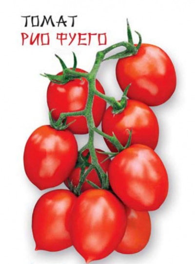 Pomidor Rio Fuego