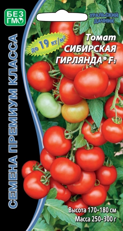 Pomidorowa syberyjska girlanda