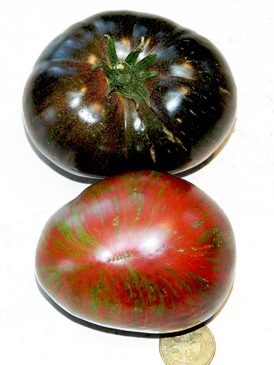 Pomidorowe stringi