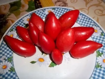 Supermodelka pomidora