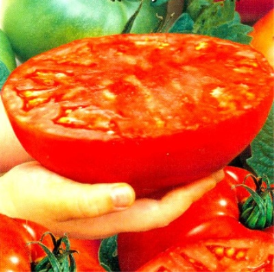 Super Stek Pomidorowy