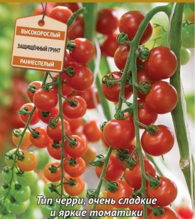 Terek Pomidorowy