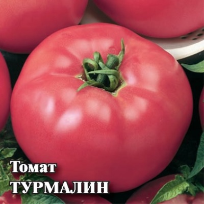 Turmalin pomidorowy