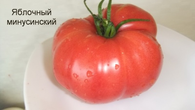 Pomidor jabłkowy Minusiński