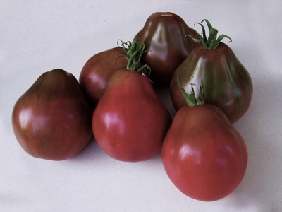Pomidorowa japońska trufla czarna