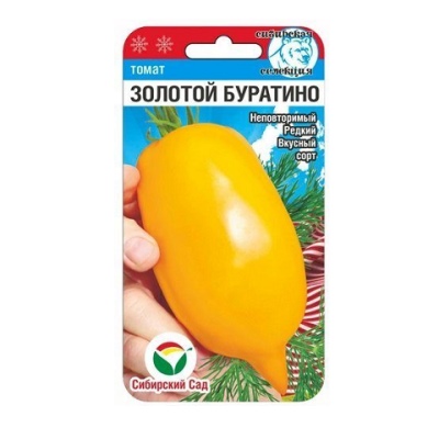 Pomidor Złoty Pinokio