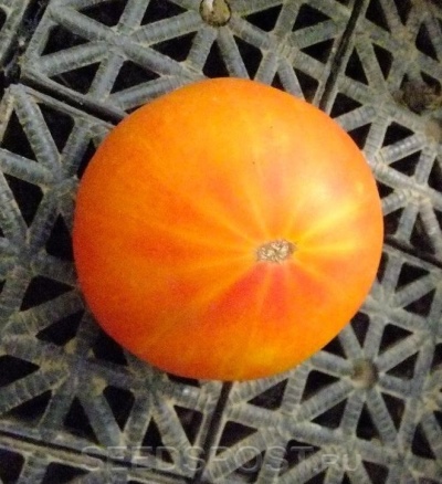 Ananas pomidor