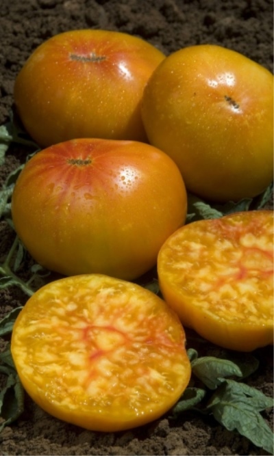 Ananas Pomidorowy