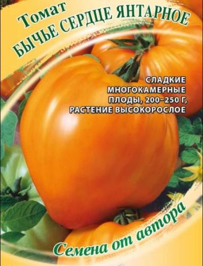 Pomidor Serce bydlęce bursztynowe