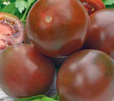 Pomidor Czarny kot