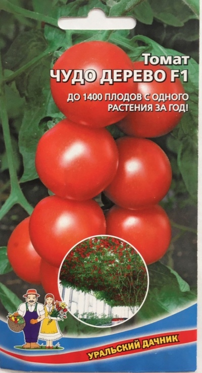 Cudowne drzewo pomidora