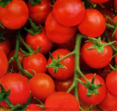 Pomidorowy Karmel czerwony