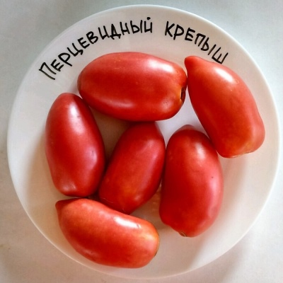Mocna Papryka Pomidorowa