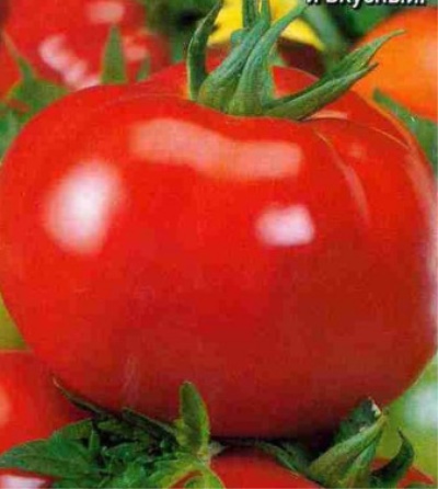 Pyszka Pomidorowa