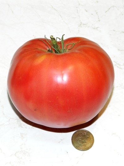 Pomidor Jusupowski