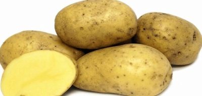 Bryza ziemniaczana