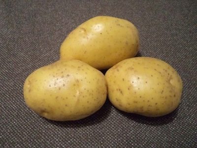 Ziemniaki Juvel