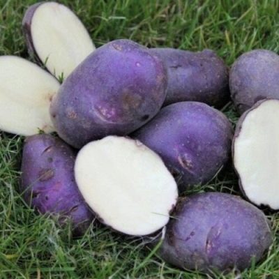 Ziemniaki z błękitnego Dunaju
