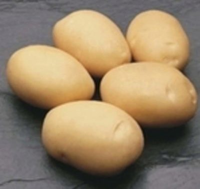 Ziemniaki