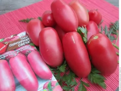 Pomidorowa fioletowa świeca