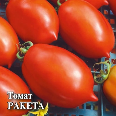Rakieta Pomidorowa