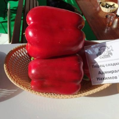 Admirał papryki Nachimow