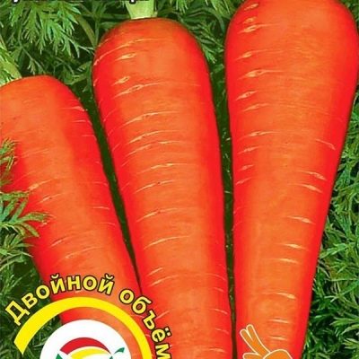 Smakosz marchewki Ałtaj